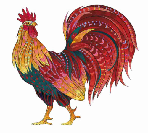Mandala Puzzles - The Rooster