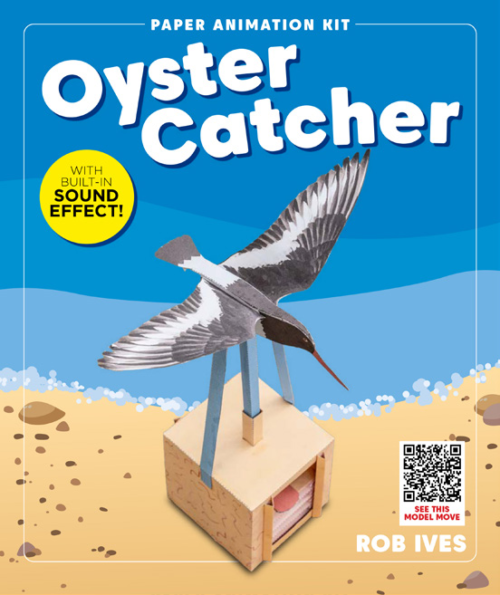 Oyster Catcher